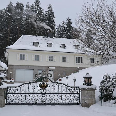 Schwarwald Apartment Schluchsee Dış mekan fotoğraf