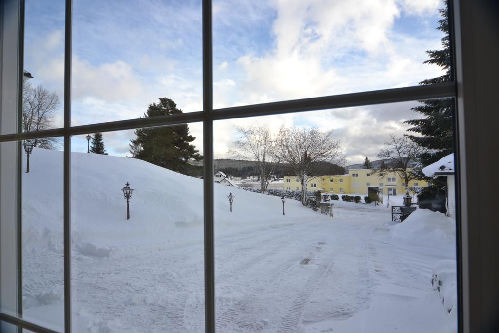 Schwarwald Apartment Schluchsee Dış mekan fotoğraf